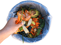 Food Waste